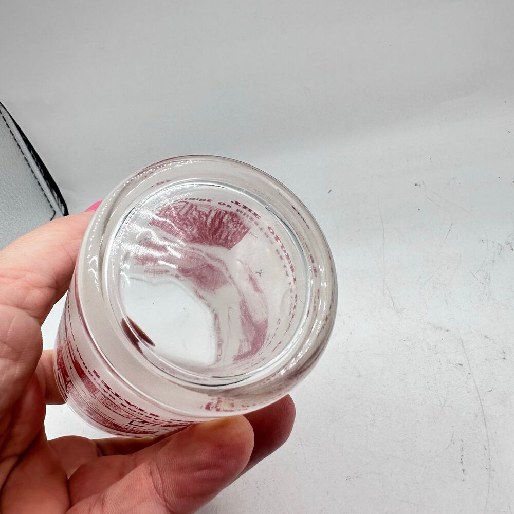 Vintage Florida St Augustine Souvenir Glass Frosted Tumbler Hazel Atlas MCM - Picture 4 of 9